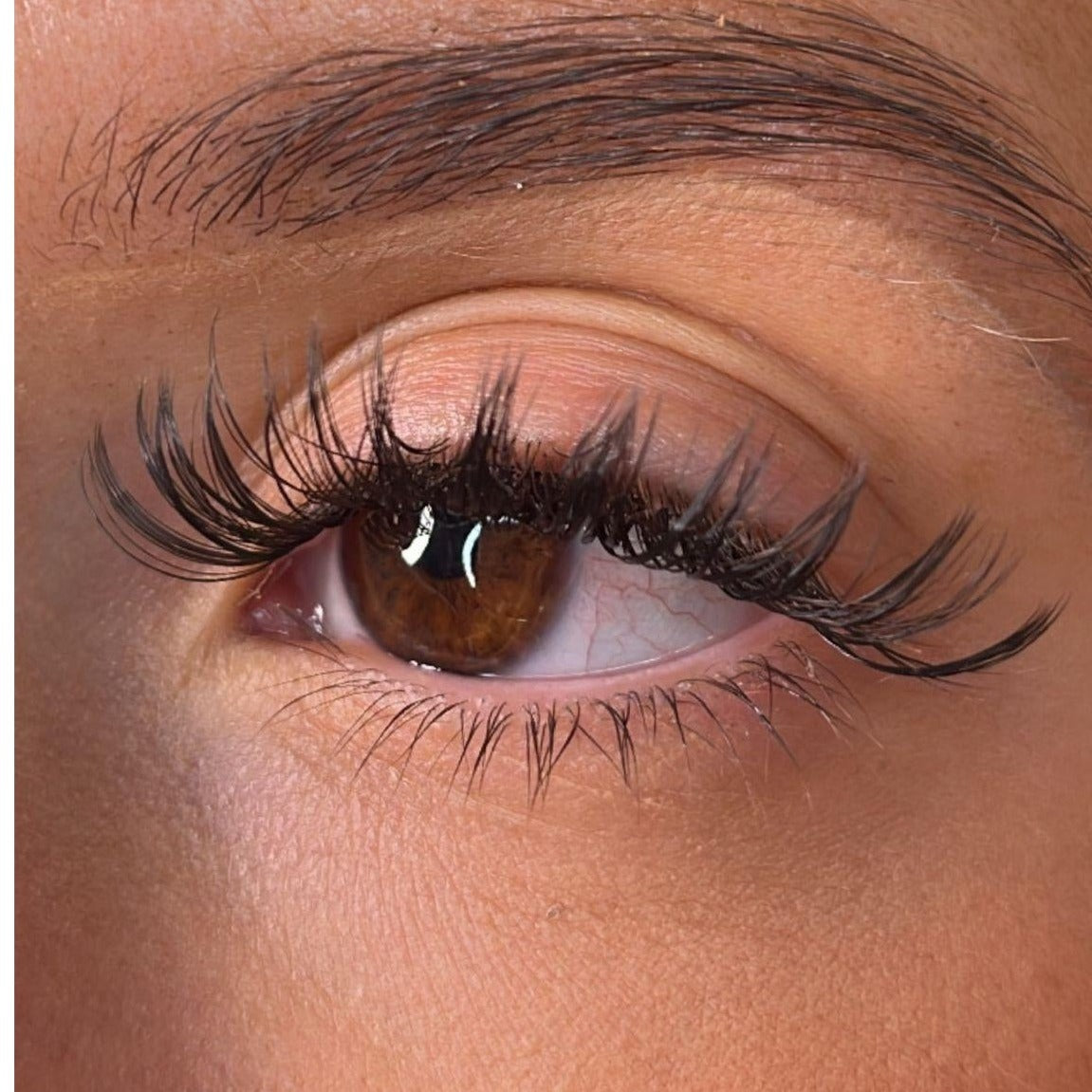 Breda - 3D 'D' Curl Lash Ribbons®