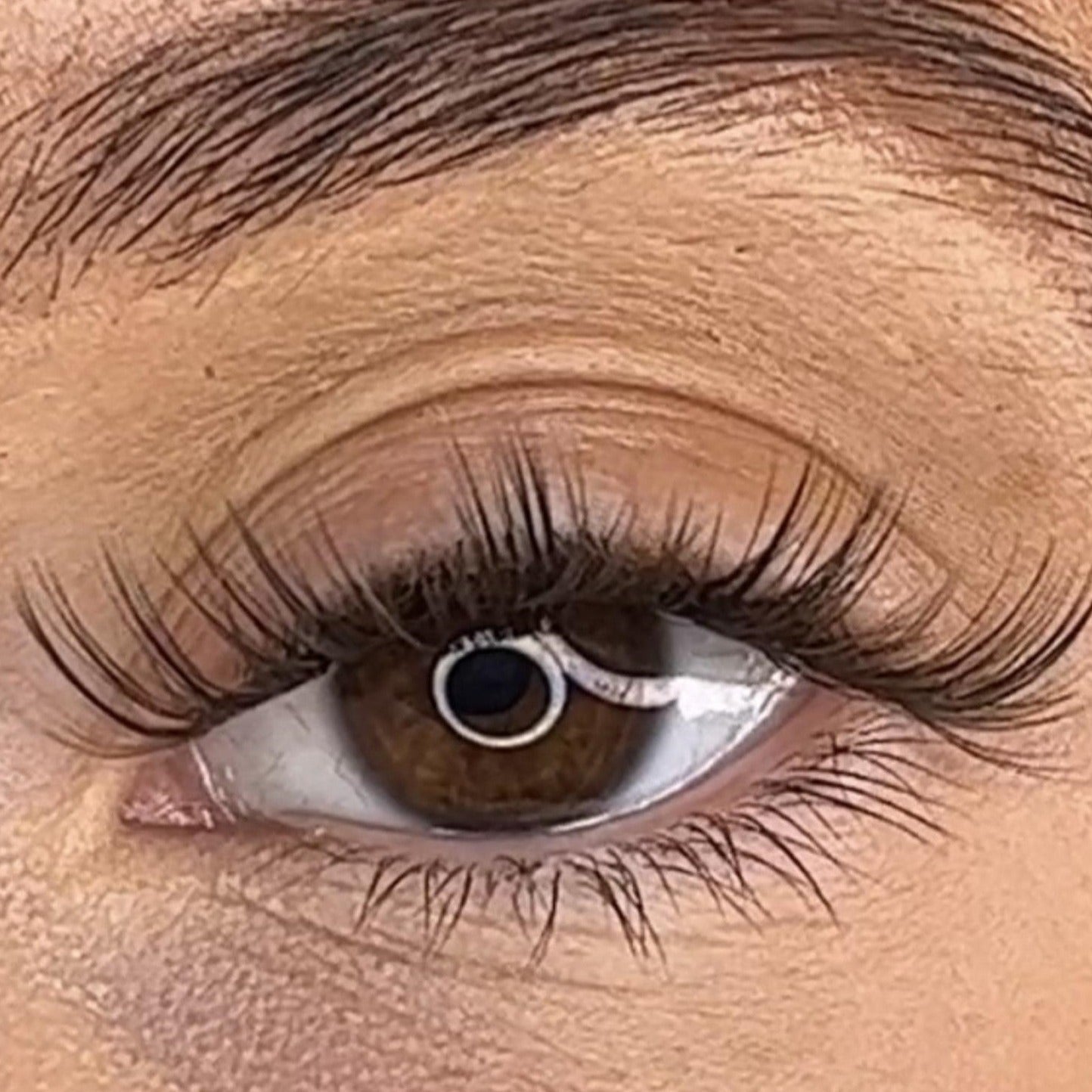 Tegan - 3D Black/Brown 'C' Curl Lash Ribbons®