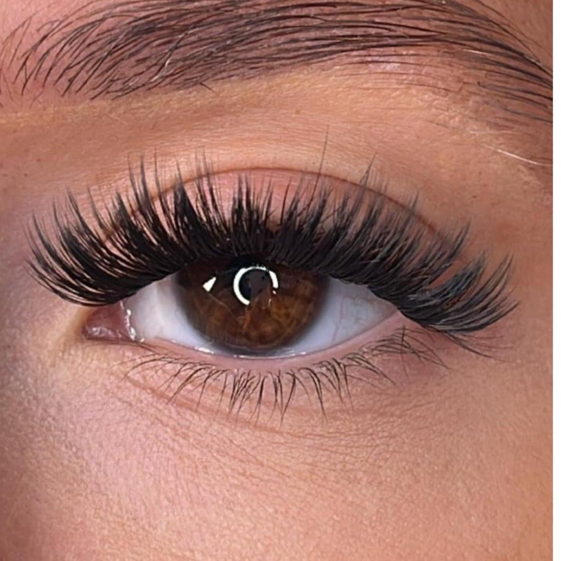 Cara - 'D' Curl Lash Ribbons®
