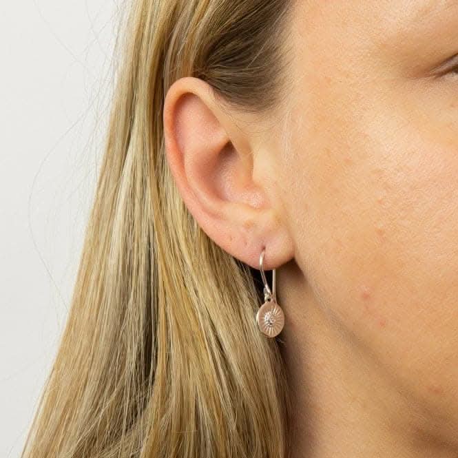 Diamond Cut Disc Drop Earrings with Zirconia E6004C