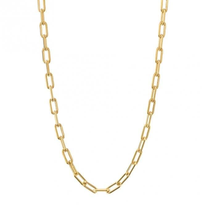 Gold Plated Link Chain Charm Carrier Necklace N4525