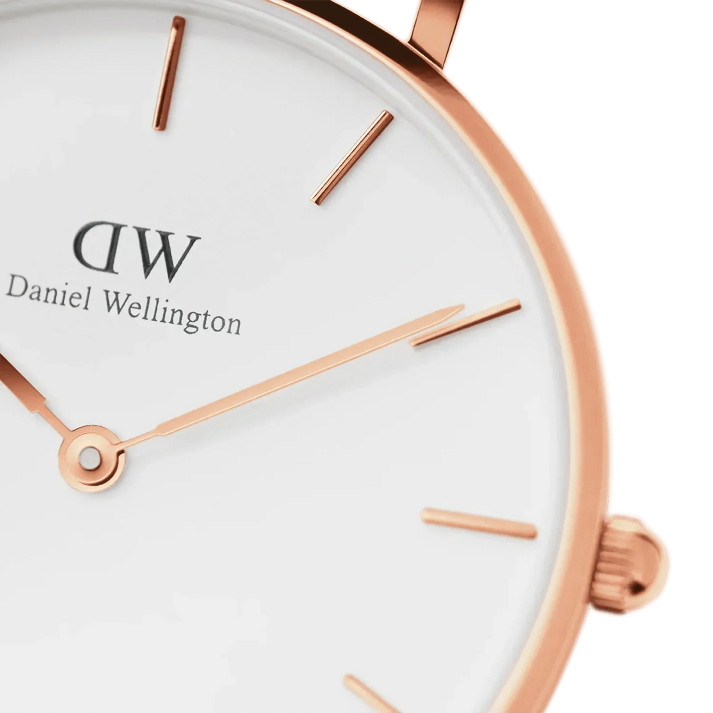 Daniel Wellington Ladies Petitedover White Watch Dw00100313
