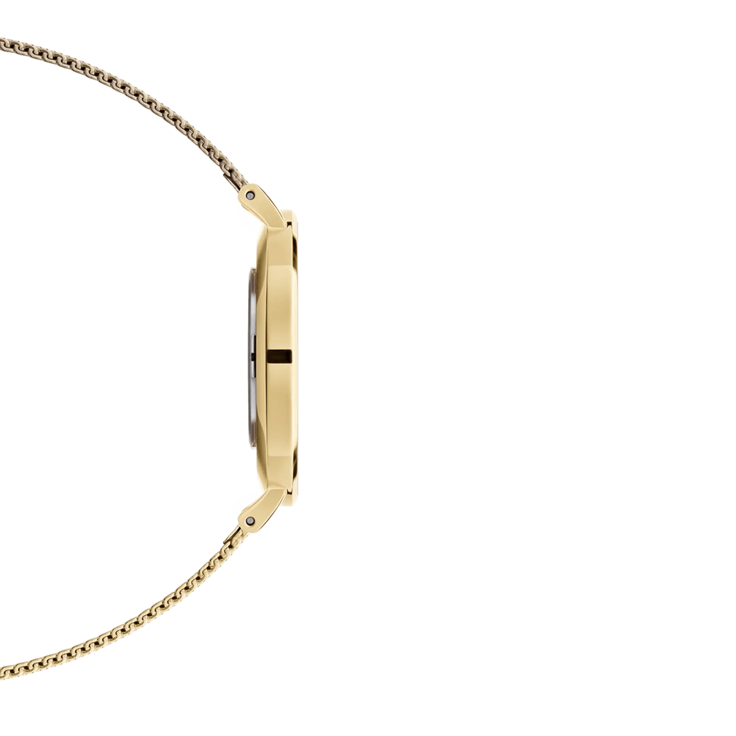 Daniel Wellington Ladies Watch Dw00100346