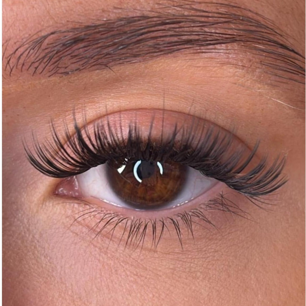 Cara - 'D' Curl Lash Ribbons®