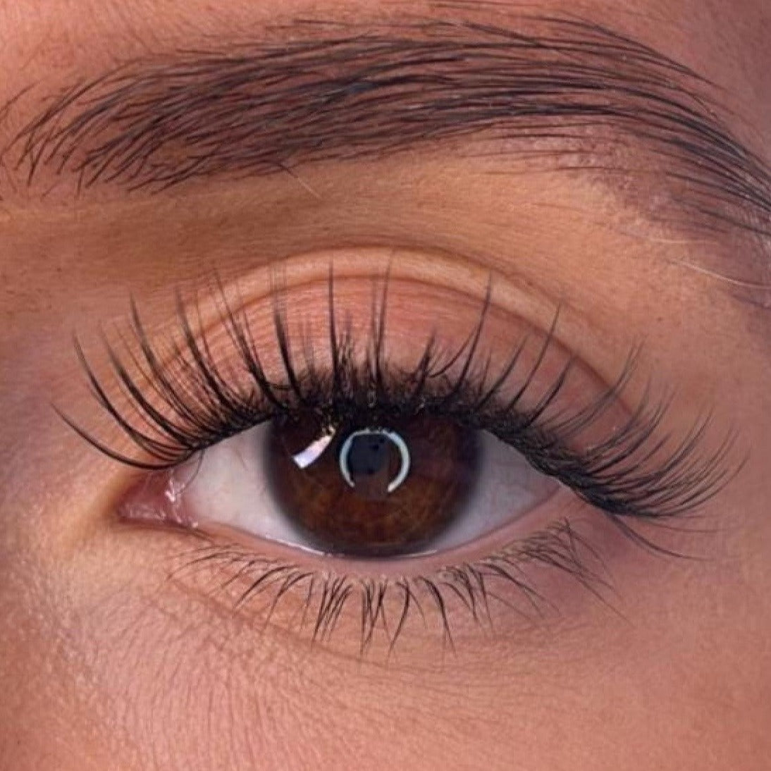 Codee - 3D 'D' Curl Lash Ribbons®