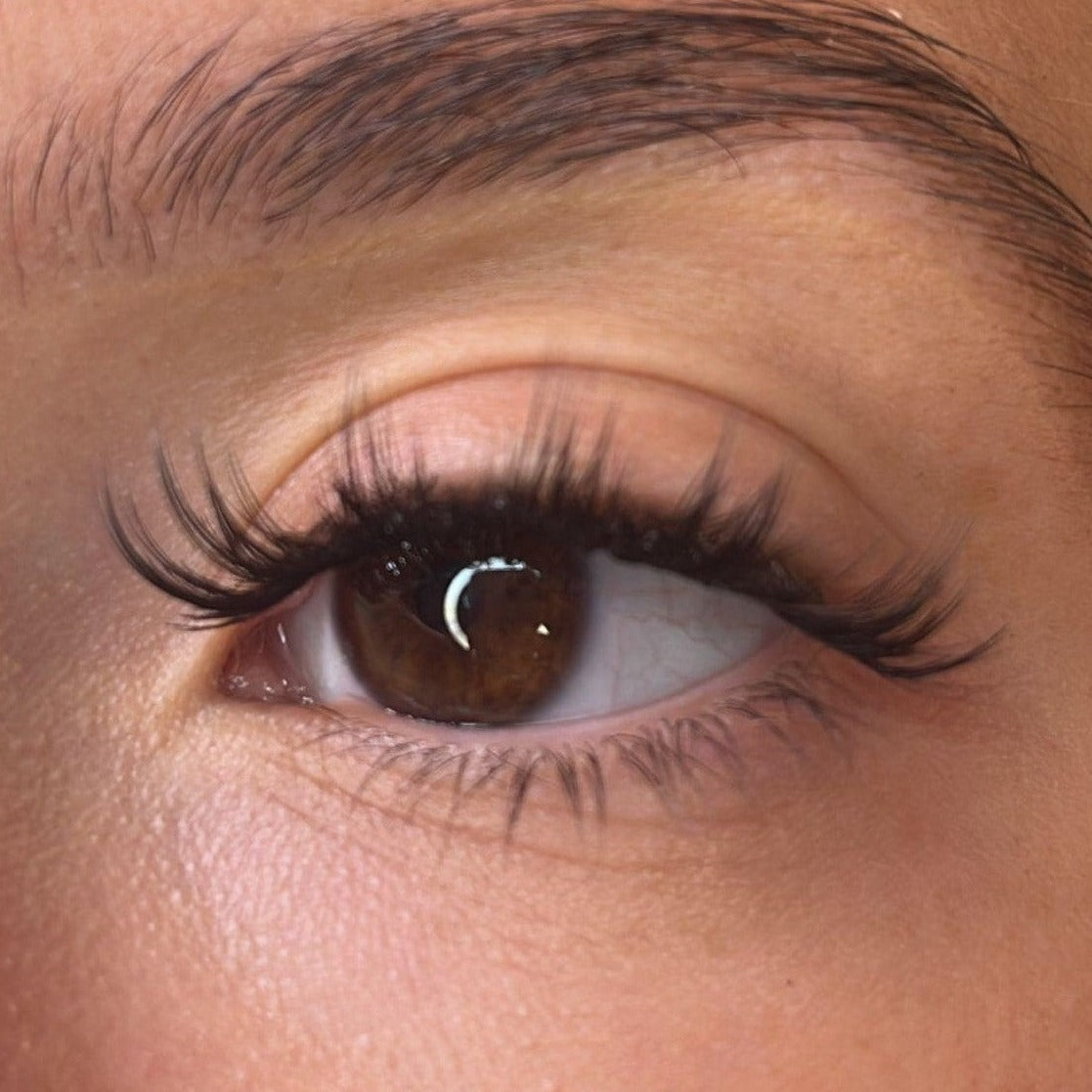 Elvie 3D 'D' Curl Lash Ribbons®