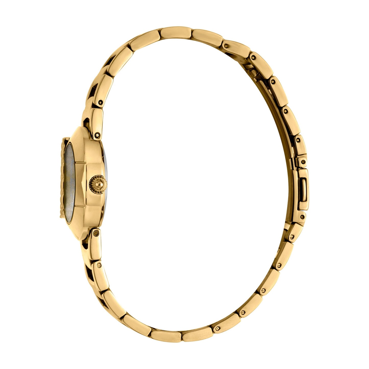 Just Cavalli Steel Yellow Gold Zebra Glitter
