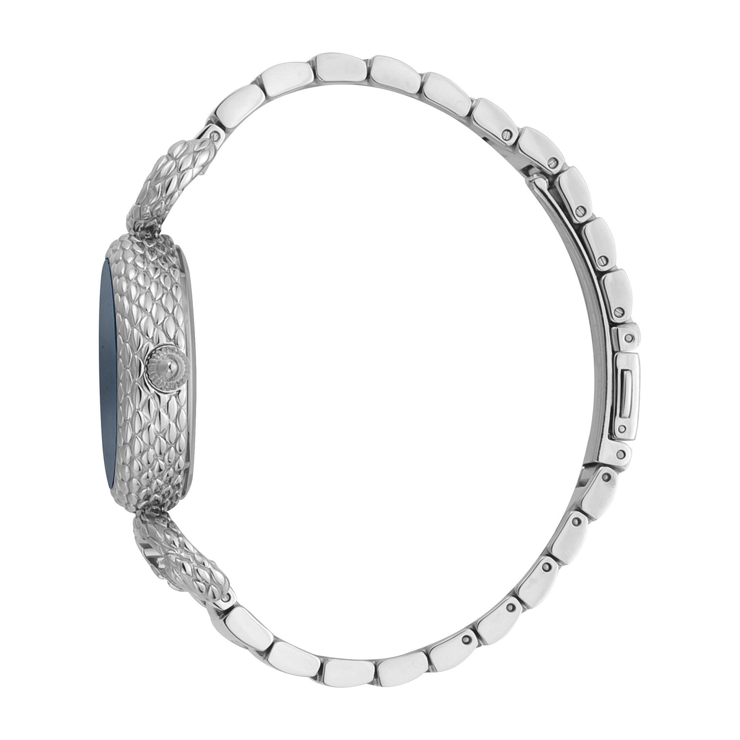 Just Cavalli Snake Inside Steel Blue