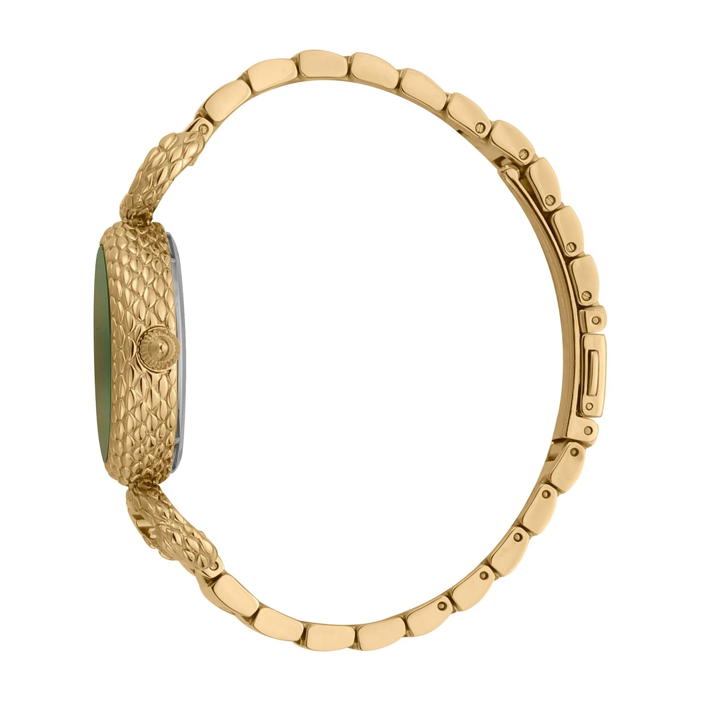 Just Cavalli Snake Inside Gold Green