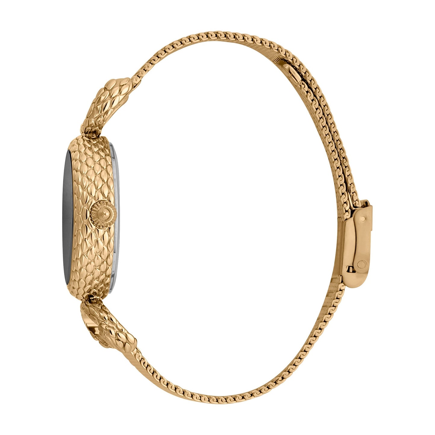 Just Cavalli Snake Inside Gold Grey