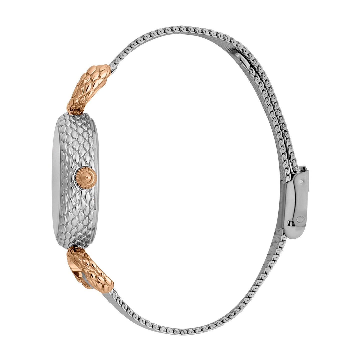 Just Cavalli Snake Inside Two Tone