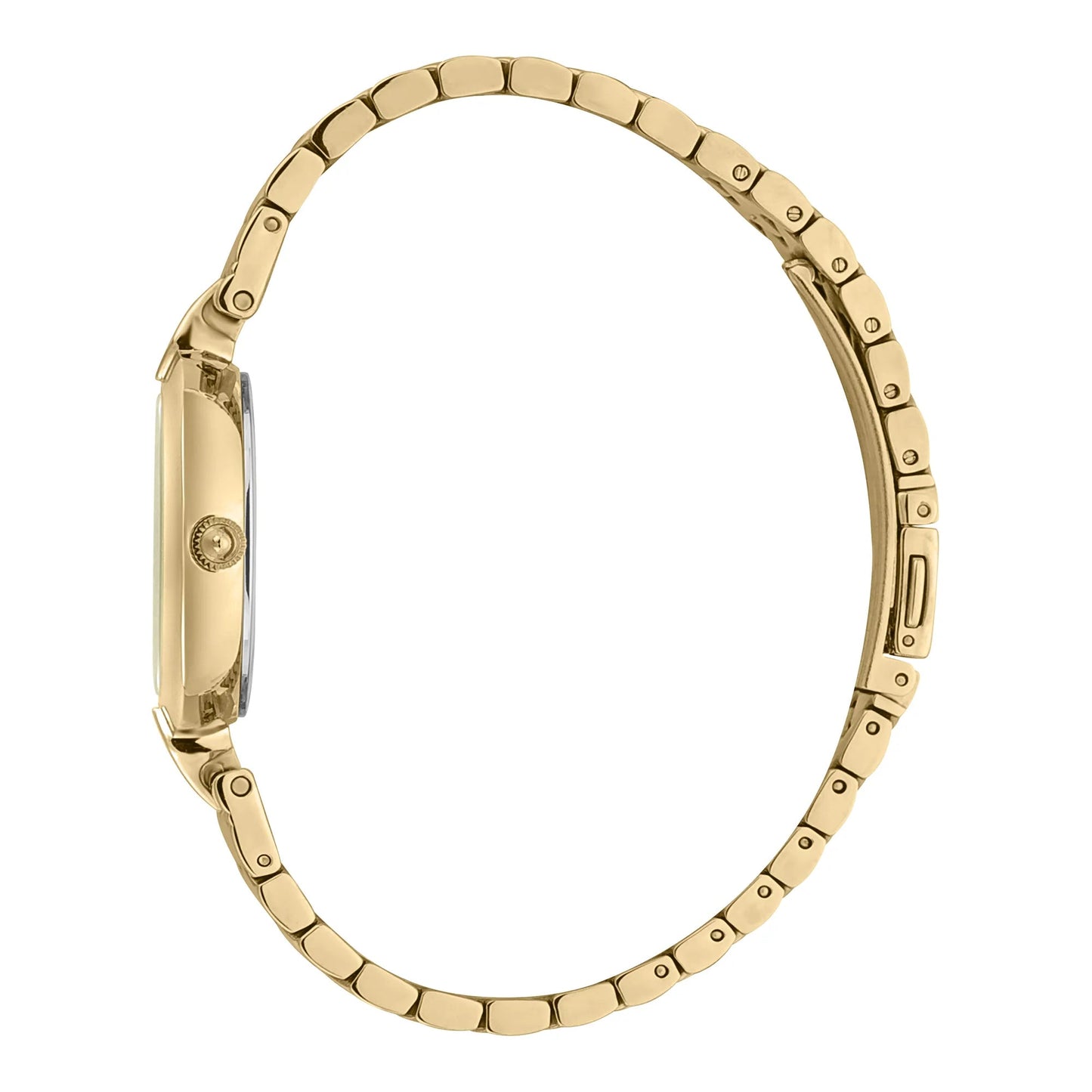 Just Cavalli Donna moderna Yellow Gold Champagne