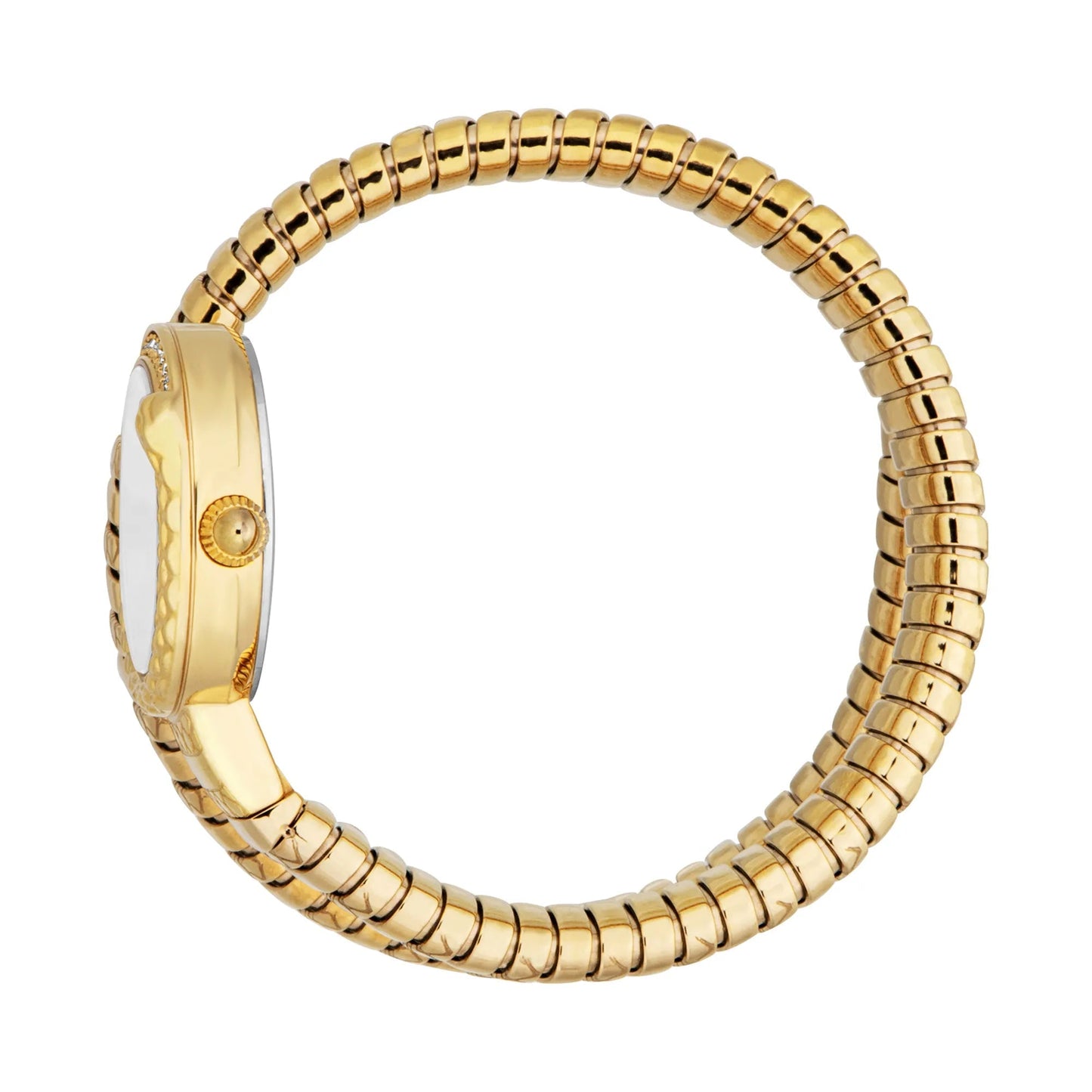 Just Cavalli Cerchio Snake Yellow Gold Silver Grey