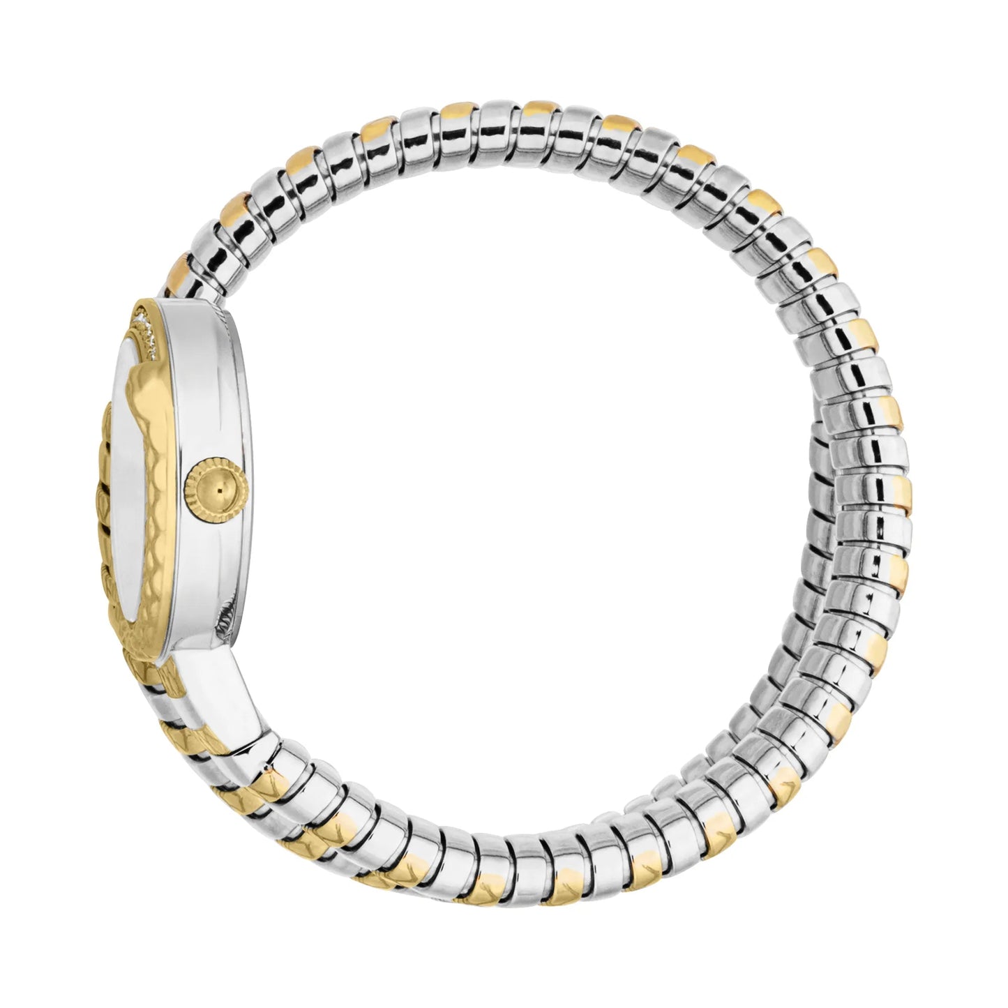 Just Cavalli Cerchio Snake Two Tones YG Silver Grey