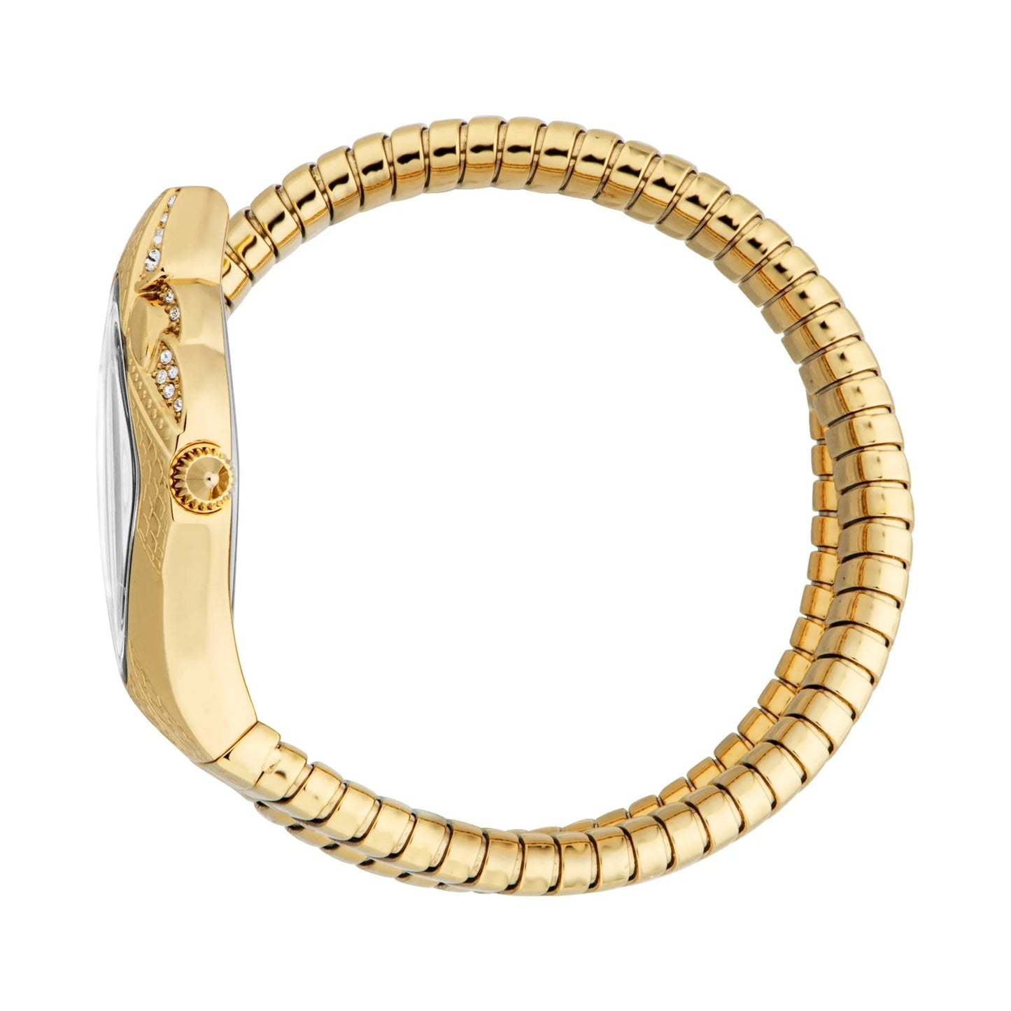 Just Cavalli Ferocious Yellow Gold Silver