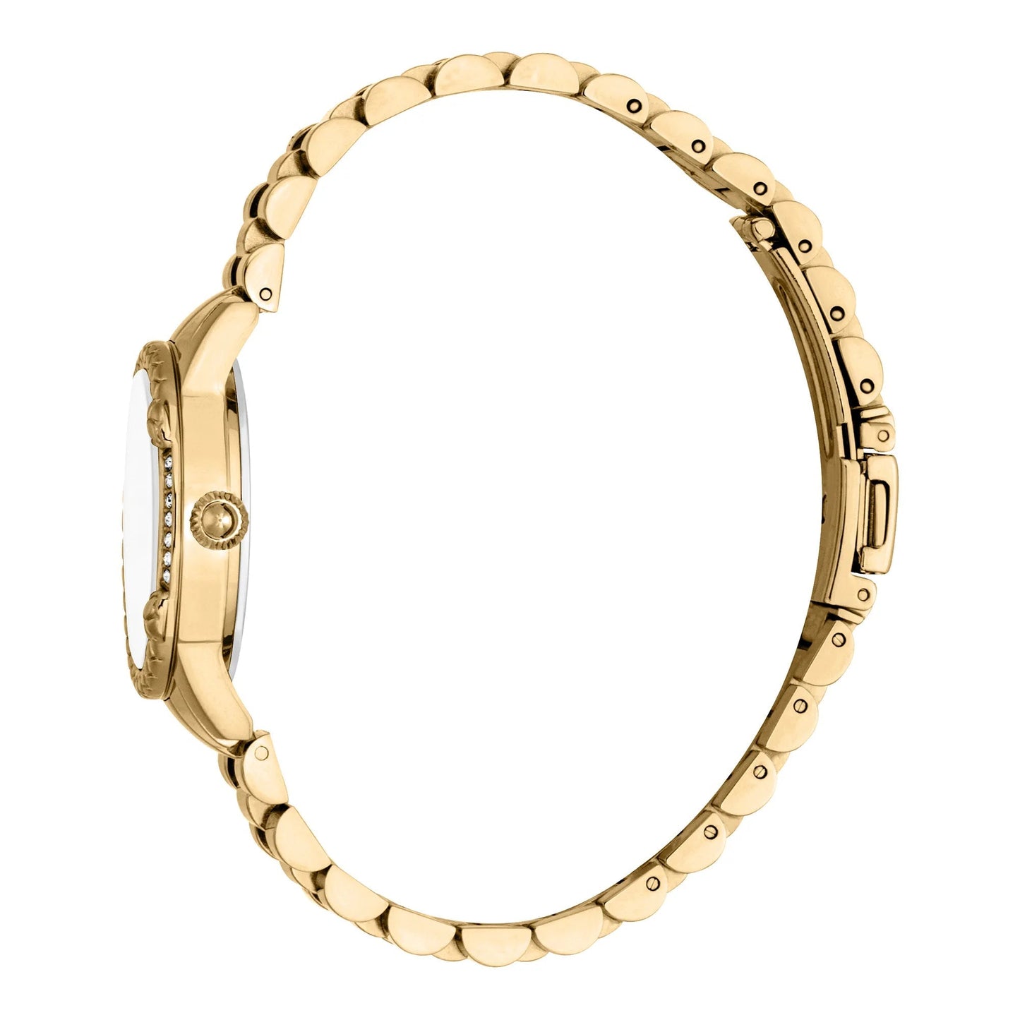 Just Cavalli Fiorenza Snake Yellow Gold MOP