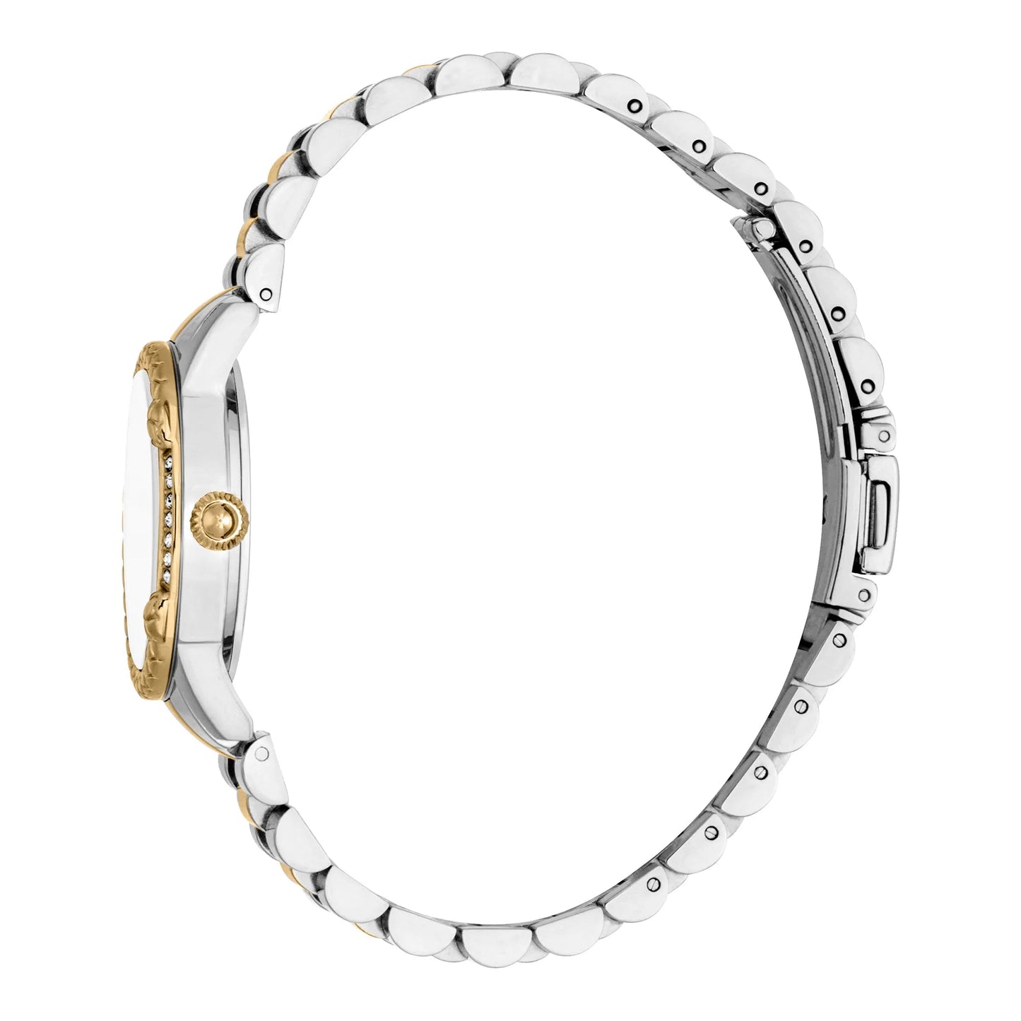 Just Cavalli Fiorenza Snake Two Tones YG MOP