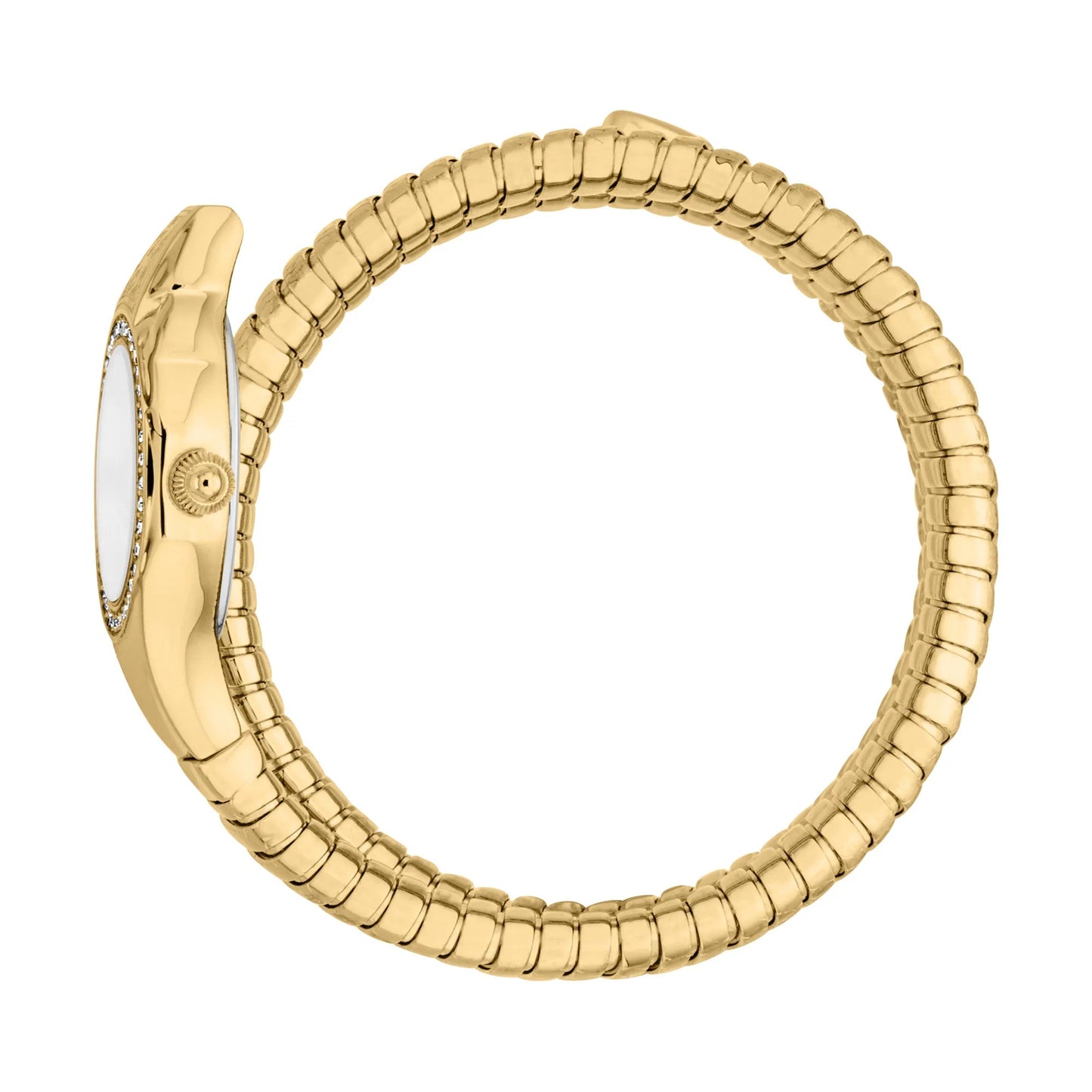 Just Cavalli Vita Yellow Gold Silver