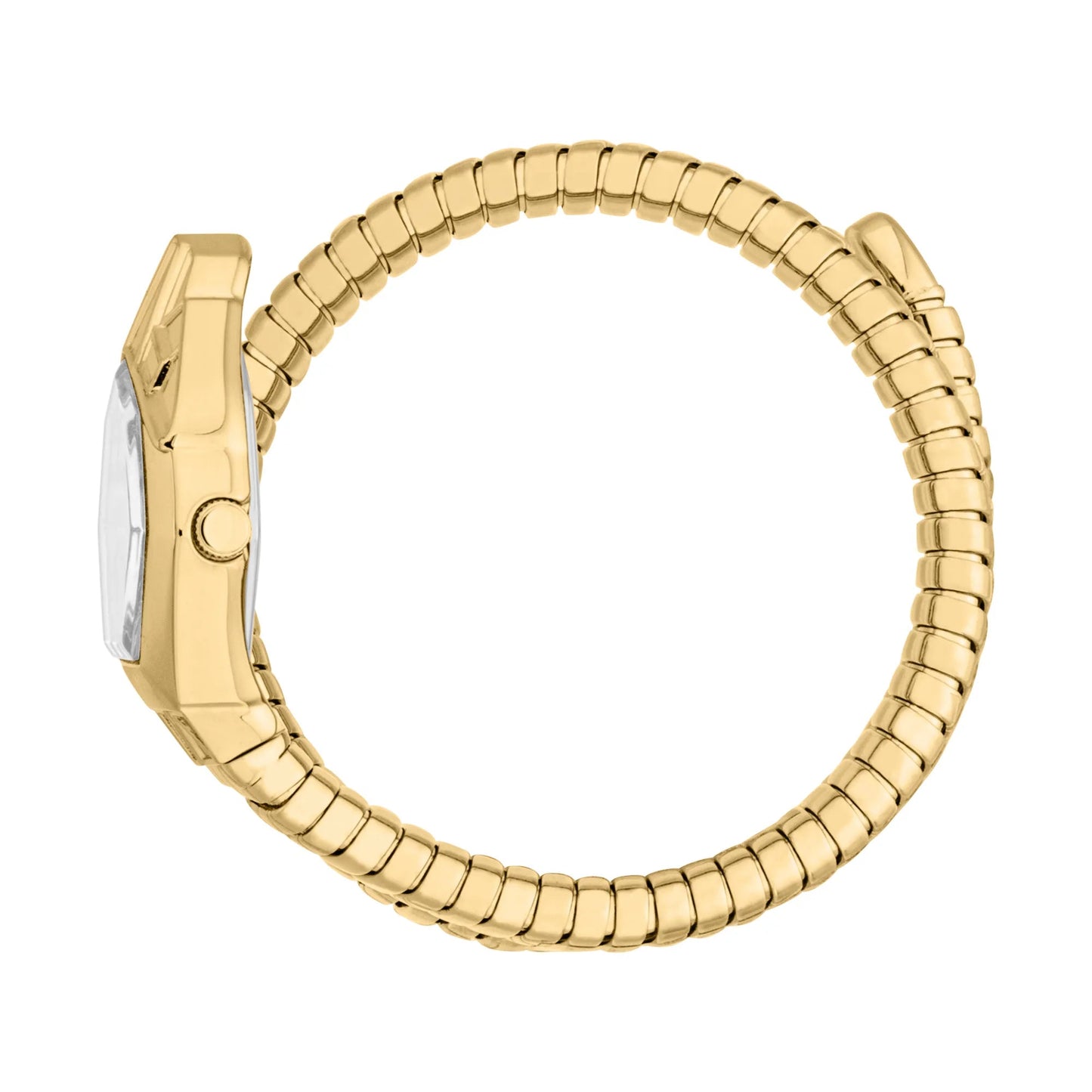 Just Cavalli Gemma Yellow Gold Silver