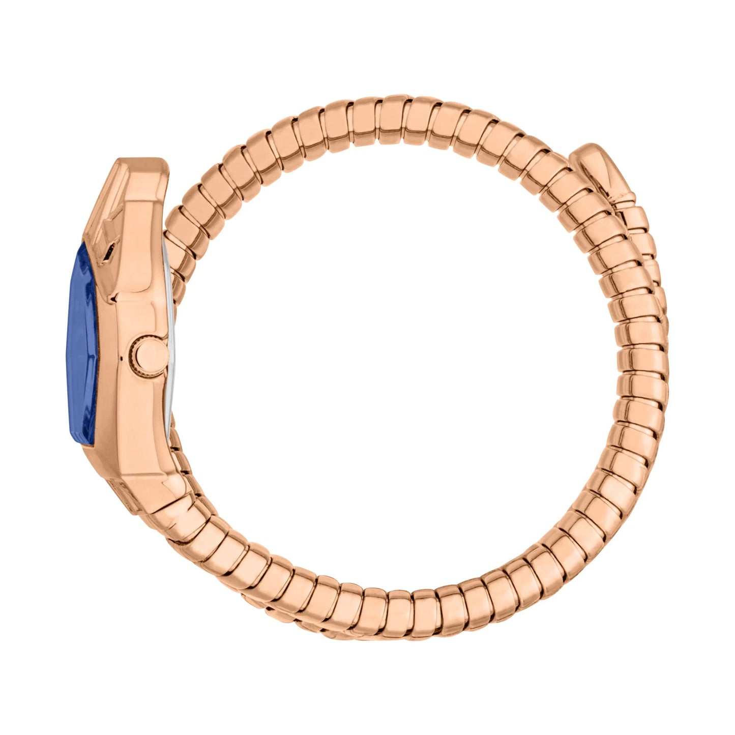 Just Cavalli Gemma Rose Gold Blue