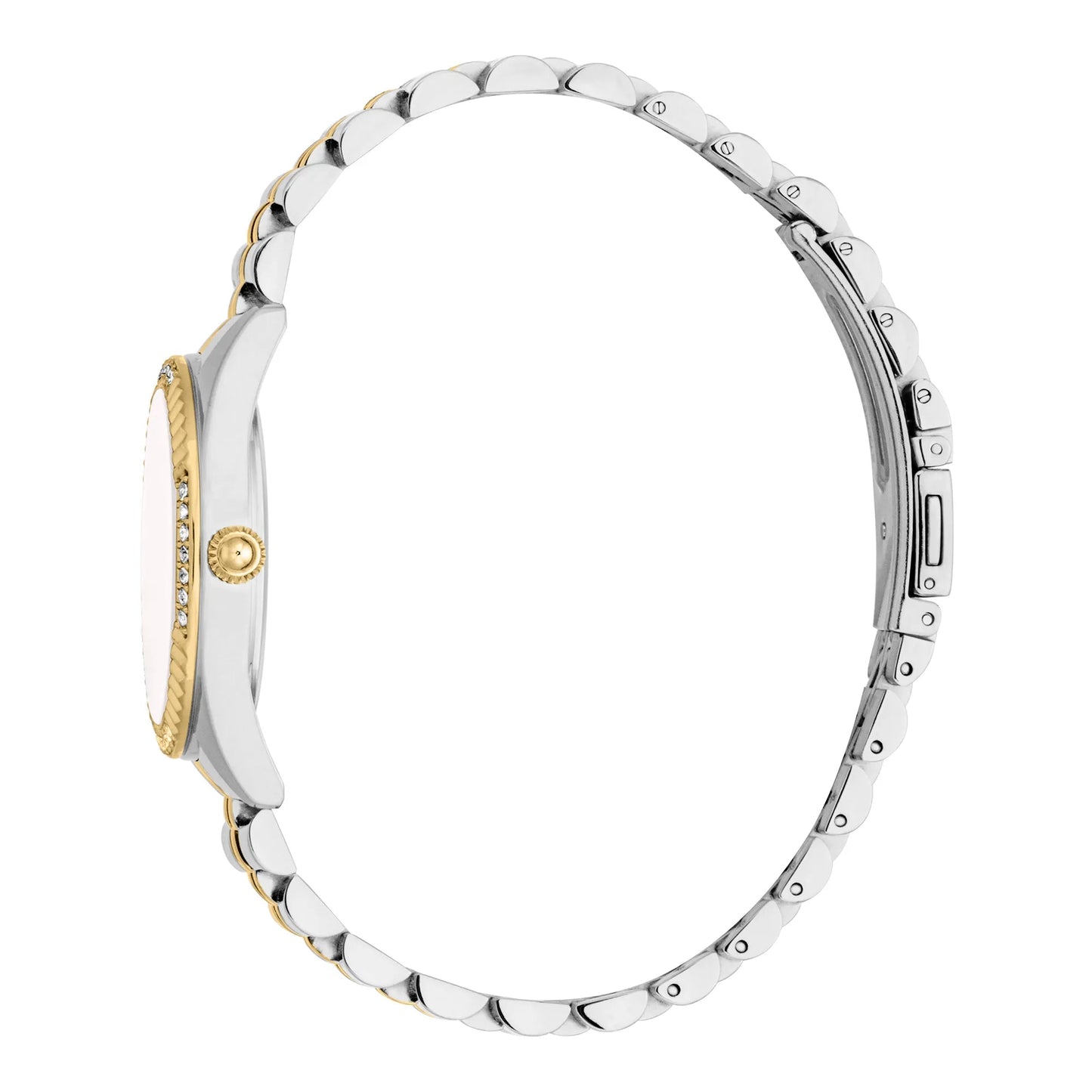 Just Cavalli Vittoria Glam Two Tones YG Silver