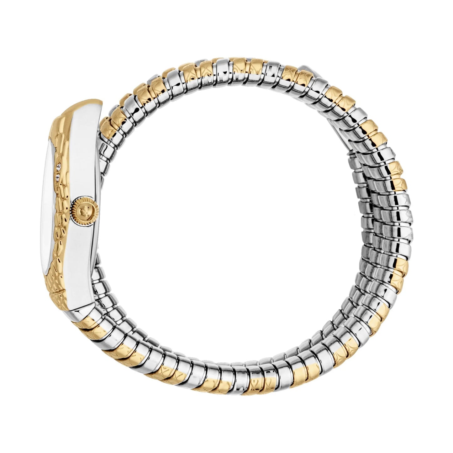 Just Cavalli Aurela Two Tones YG Silver