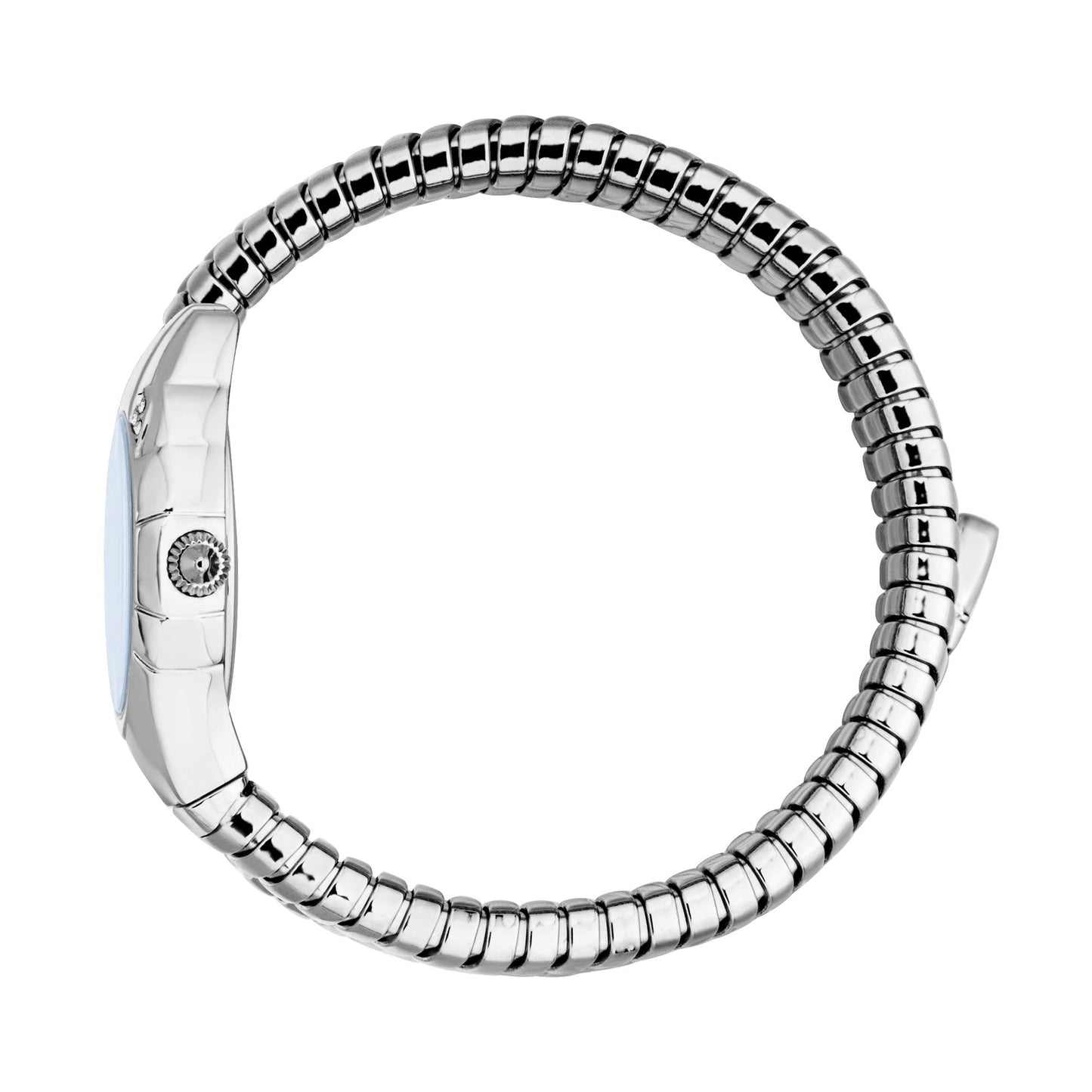 Just Cavalli Amanta Silver Blue