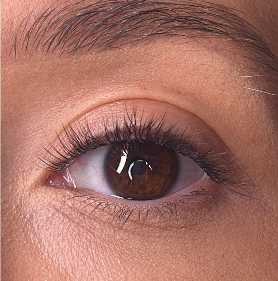 Morina Pre Styled Lash Ribbons®