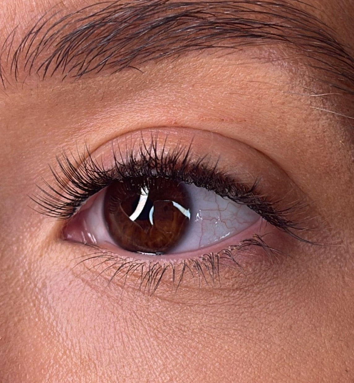 Morina Pre Styled Lash Ribbons®