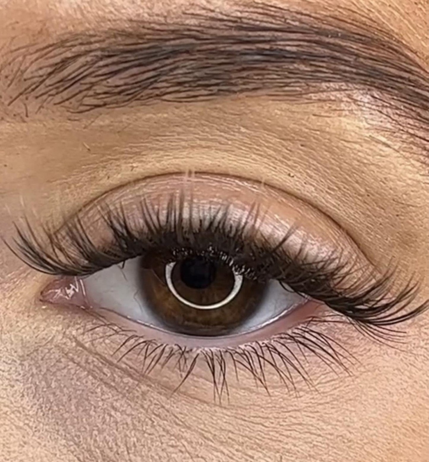 Niamh - 3D Black/Brown 'C' Curl Lash Ribbons®