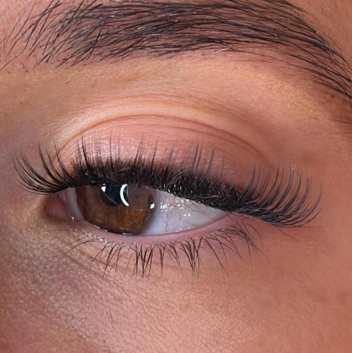 Sina Lash Ribbons® Collections