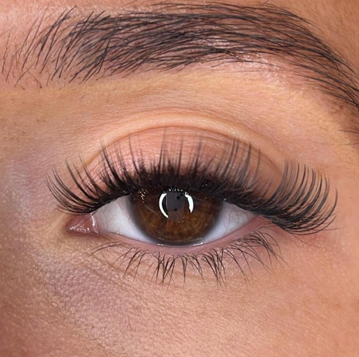 Sina Lash Ribbons® Collections