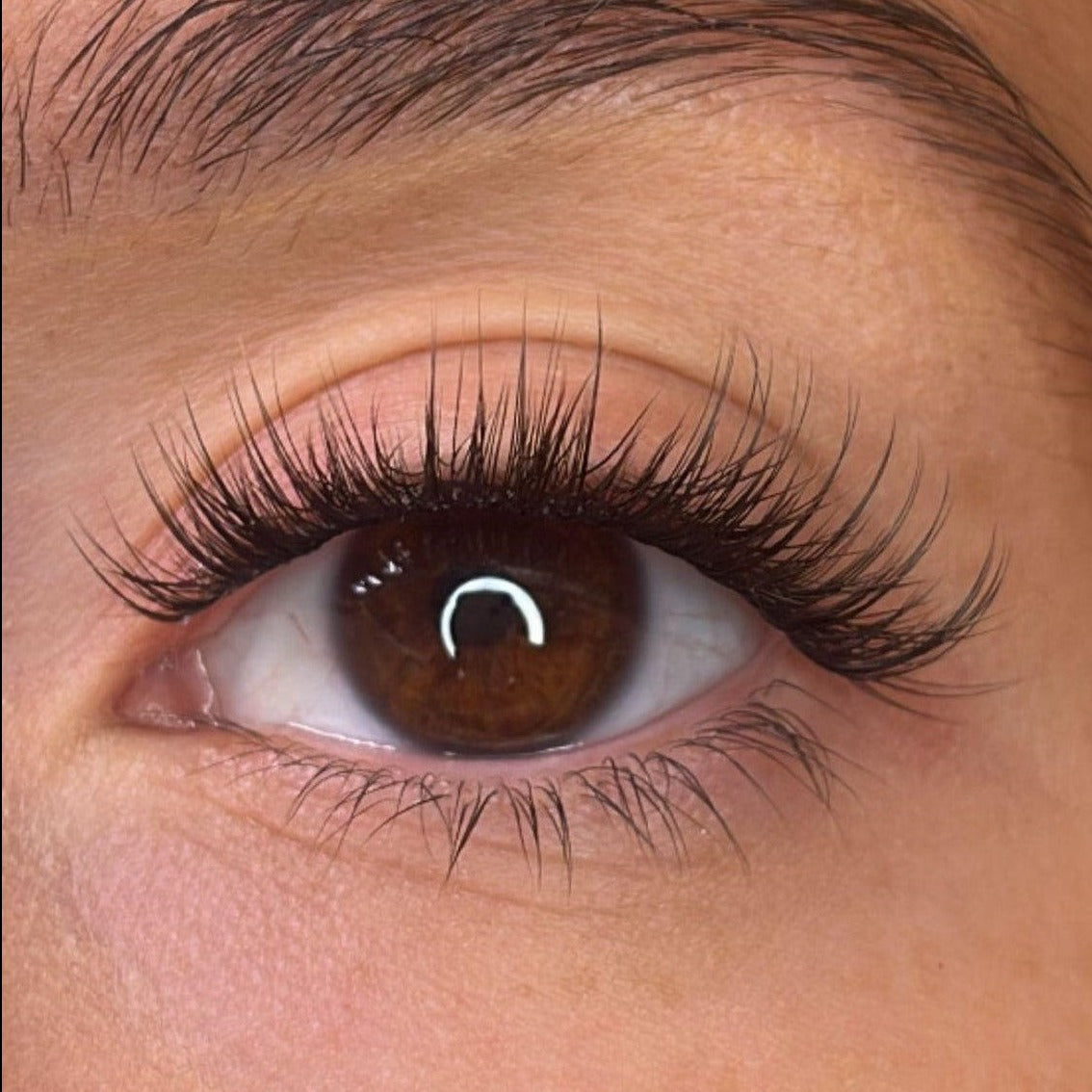 Trista Pre Styled Lash Ribbons®