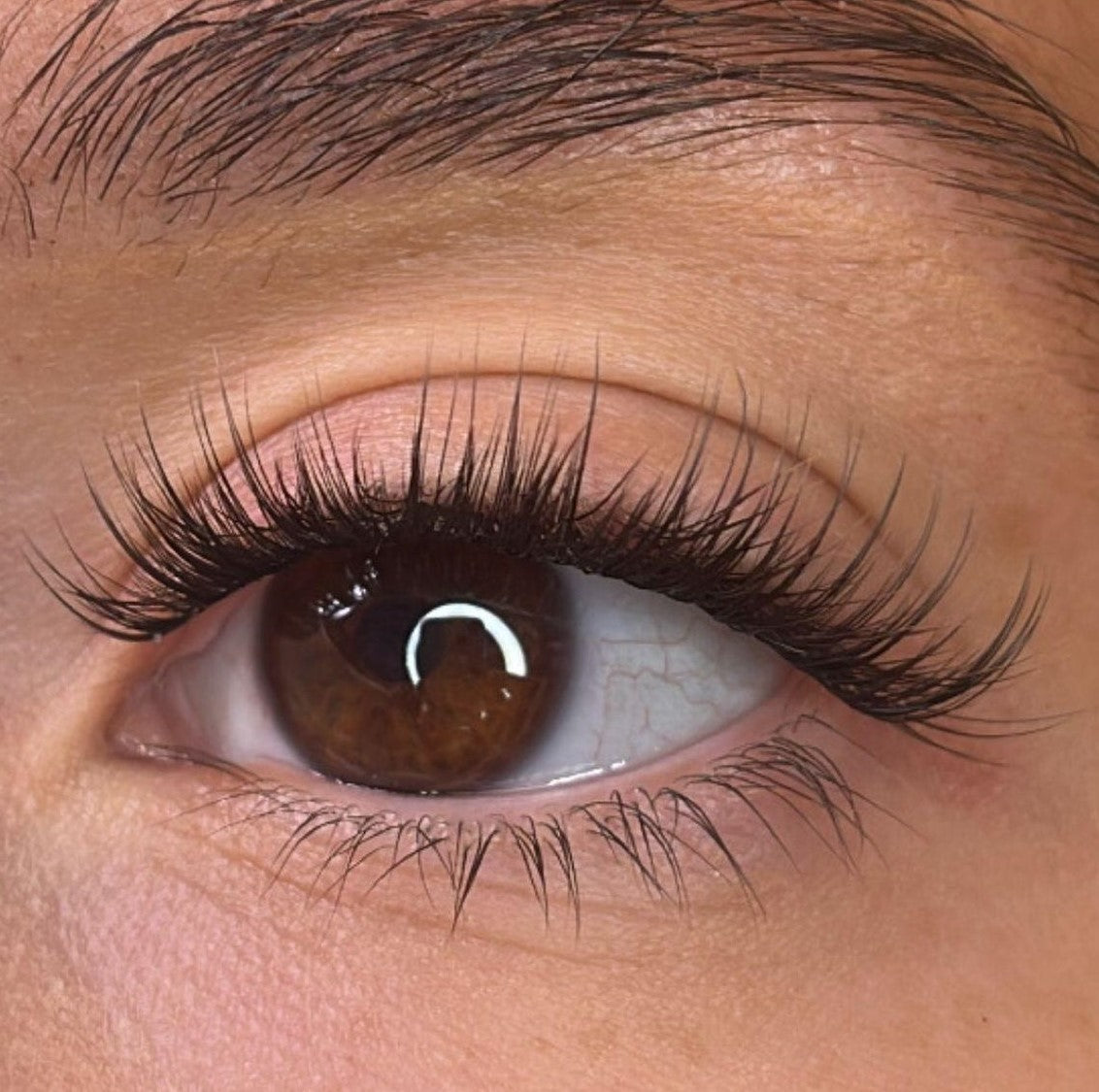 Trista Pre Styled Lash Ribbons®