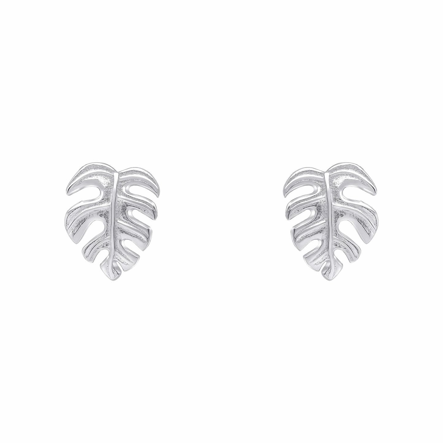Beginnings Sterling Silver Earrings E6499