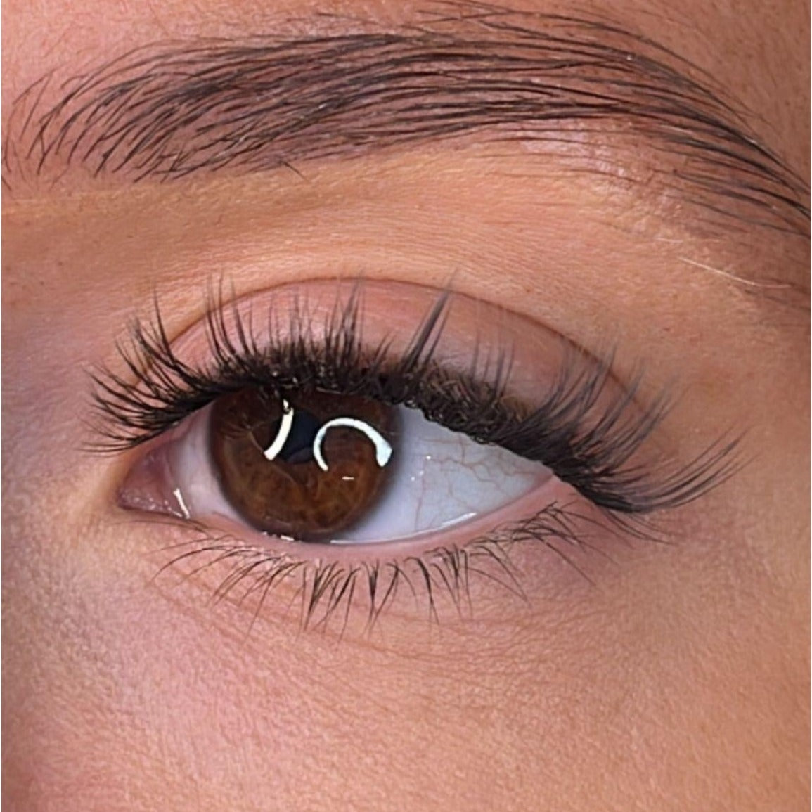 Brenna Pre Styled Lash Ribbons®