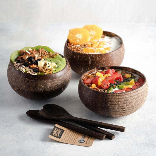 Eco-friendly Coconut Bowls & Spoons Set of 2-0