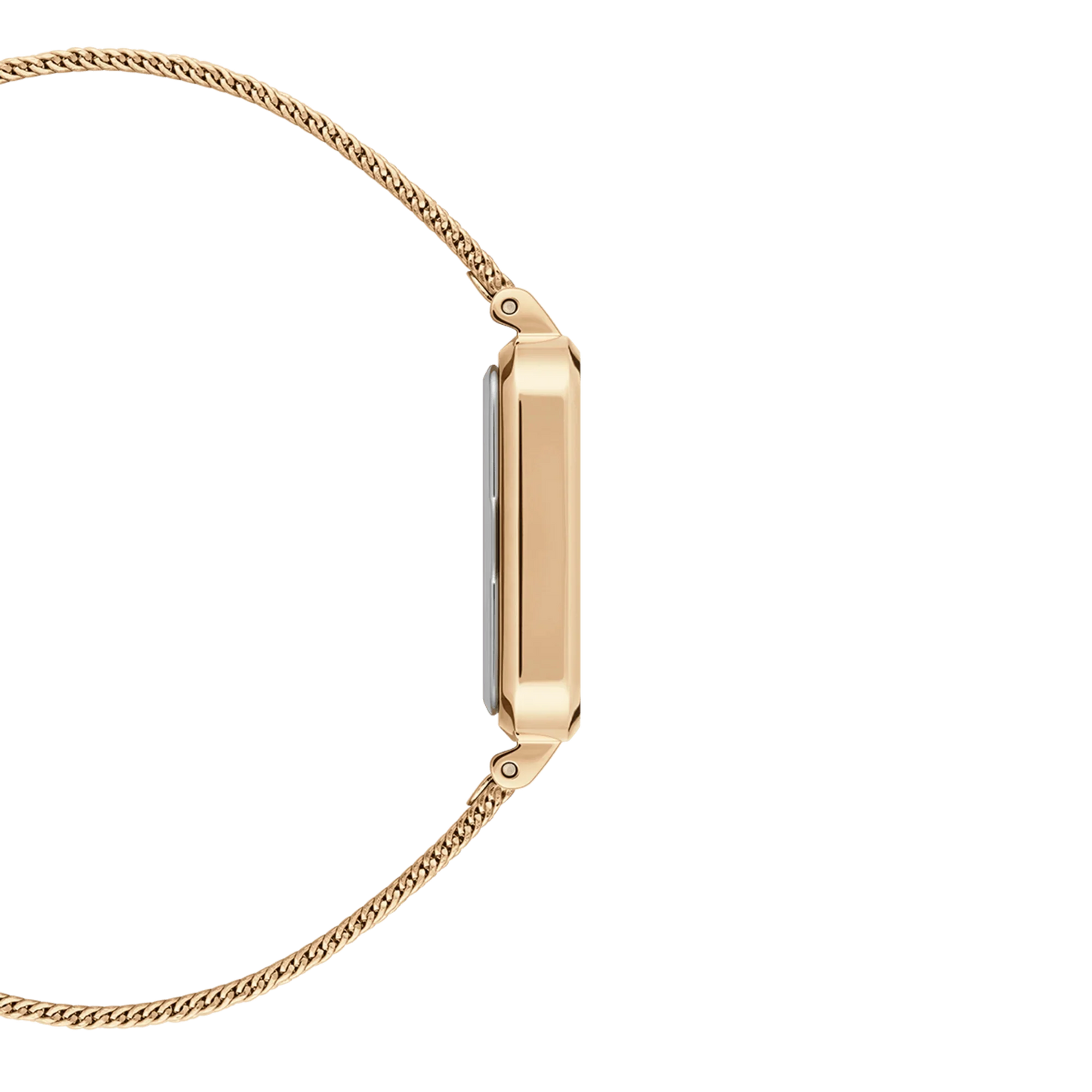 Daniel Wellington Ladies Gold Watch Dw00100556 Copy