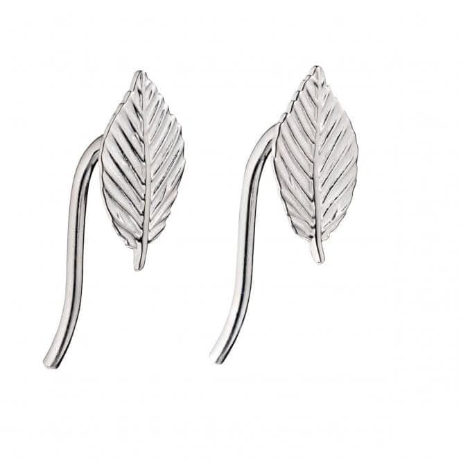 Elements Silver Leaf Earrings E5687