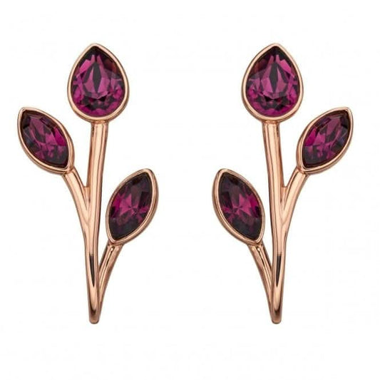 Elements Silver Rose Gold Amethyst Swarovski Front Back Earrings E5730M