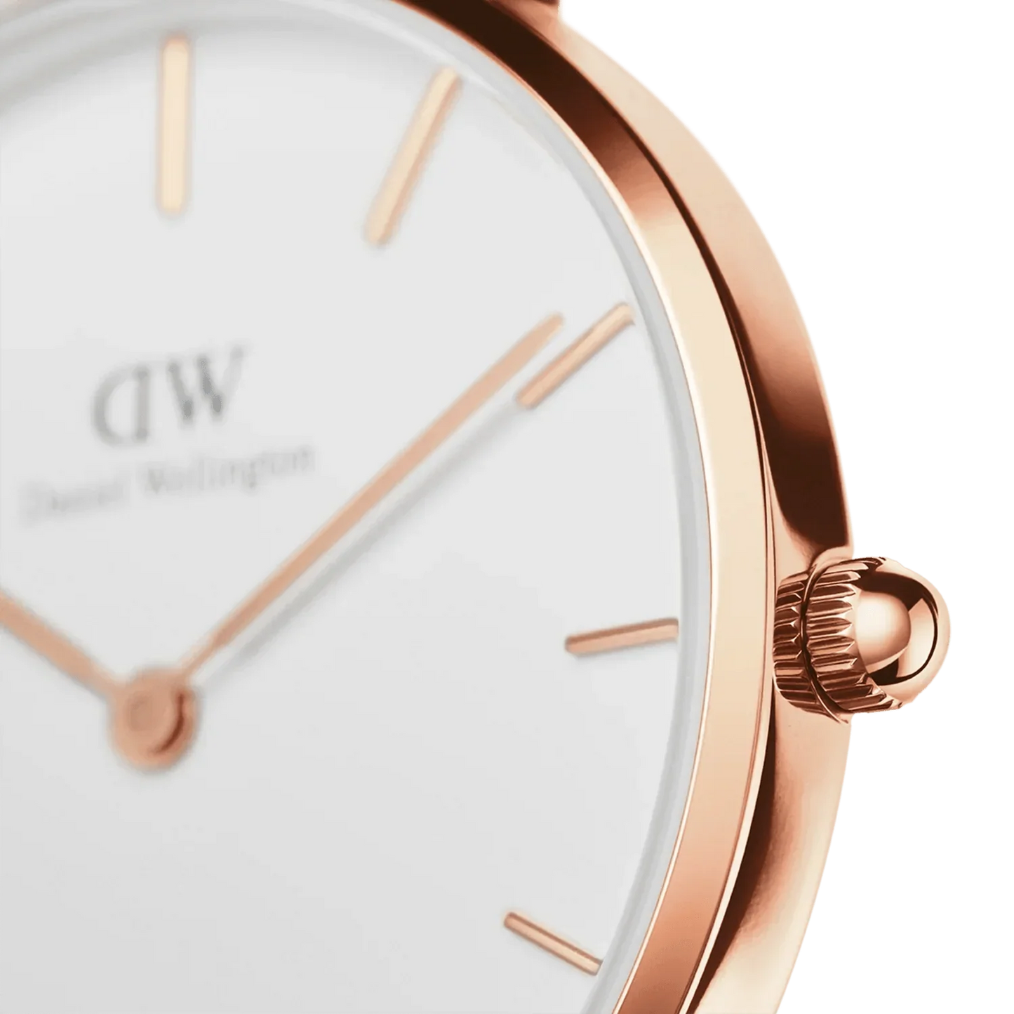 Daniel Wellington Ladies Petitedover White Watch Dw00100313