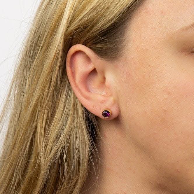 February Yellow Gold Plated Birthstone Earrings with Swarovski Crystal E1538