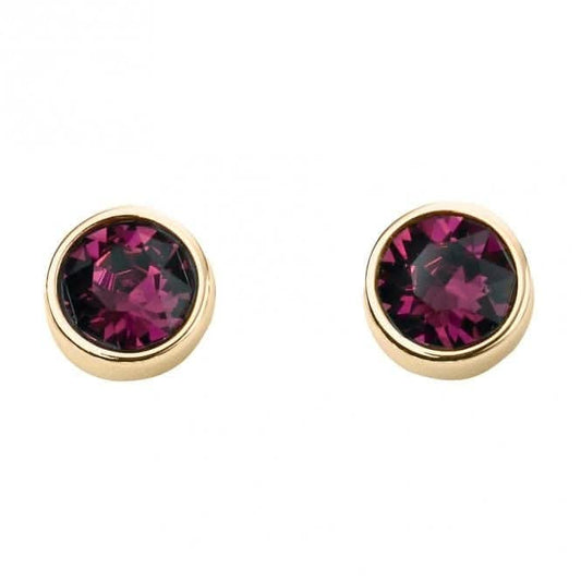 February Yellow Gold Plated Birthstone Earrings with Swarovski Crystal E1538