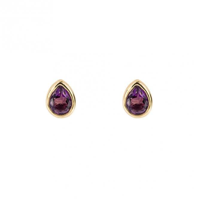 Gold Plated Birthstone February Amethyst Earrings E6203