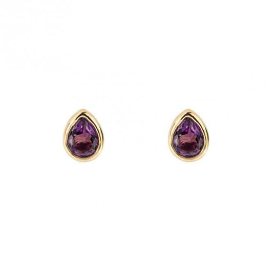Gold Plated Birthstone February Amethyst Earrings E6203