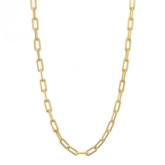 Gold Plated Link Chain Charm Carrier Necklace N4525
