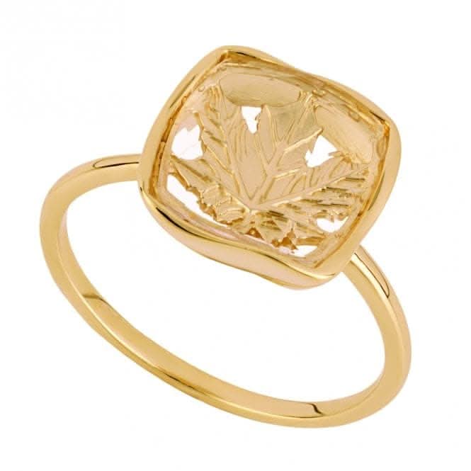 Gold Plated Open Square Leaf Pattern Ring R3833