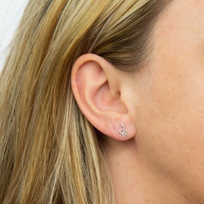 Silver Snake Stud Earrings A2070