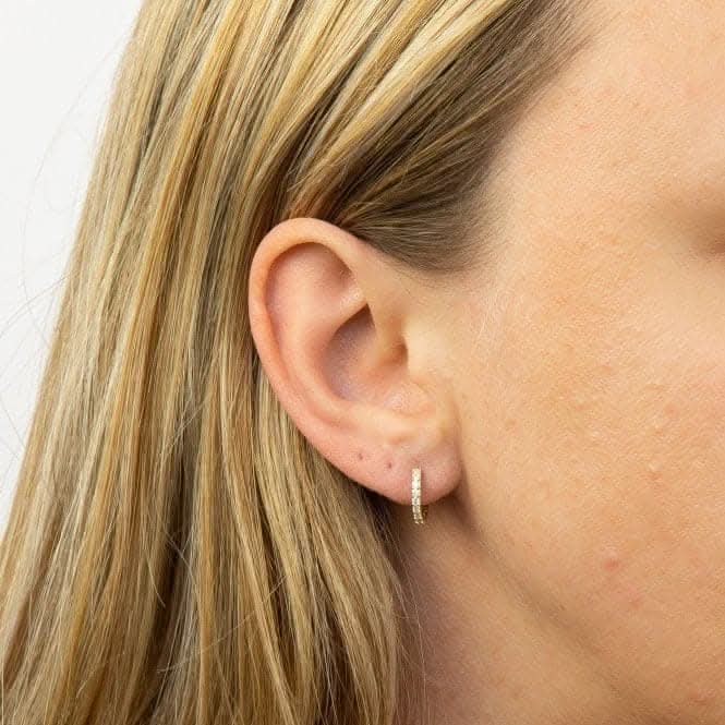 Yellow Gold Plated Hoop Earrings with Zirconia E6049C